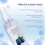 Maxisoft Hand Sanitizer Spray Blueberry