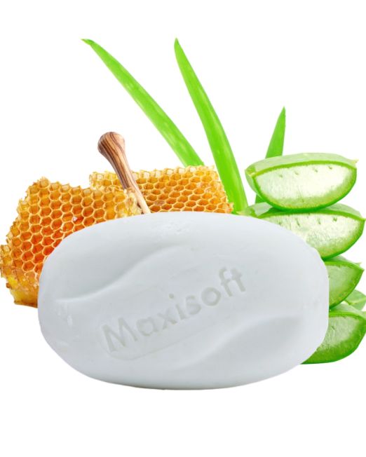 Maxisoft Antibacterial Sanitizing Soap
