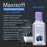 Maxisoft Hand Sanitizer Blueberry