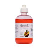 Maxisoft Hand Sanitizer Gel Fruit Basket (500 ml)