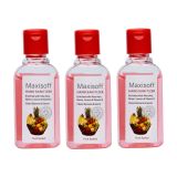 Maxisoft Hand Sanitizer Fruit Basket - Pack of 3