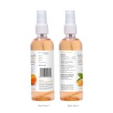 Maxisoft Hand Sanitizer Spray Refreshing Orange