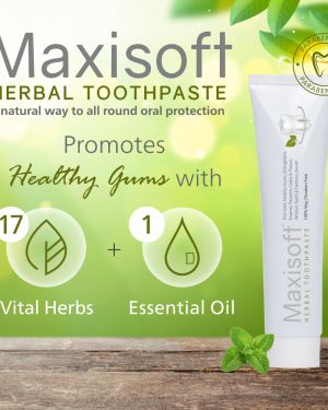Maxisoft Herbal Toothpaste 100 gm