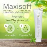Maxisoft Herbal Toothpaste 100 gm
