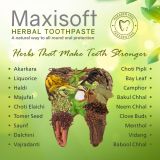 Maxisoft Herbal Toothpaste 100 gm