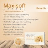 Maxisoft Loofah Exfoliating Bathing Bar (75 gm)