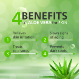 Maxisoft Moisturizing Soap