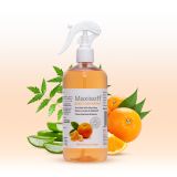 Maxisoft Hand Sanitizer Spray Refreshing Orange