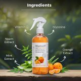 Maxisoft Hand Sanitizer Spray Refreshing Orange