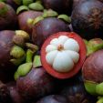 kokum butter kokum butter