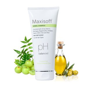 Maxisoft Herbal Shampoo