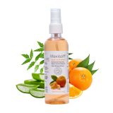Maxisoft Hand Sanitizer Spray Refreshing Orange